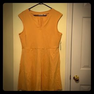 Dress NWT
